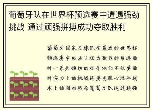 葡萄牙队在世界杯预选赛中遭遇强劲挑战 通过顽强拼搏成功夺取胜利
