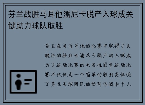 芬兰战胜马耳他潘尼卡脱产入球成关键助力球队取胜