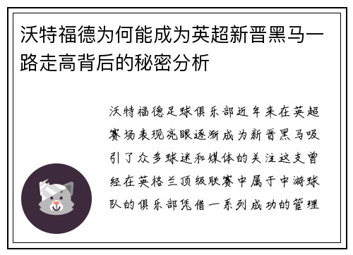 沃特福德为何能成为英超新晋黑马一路走高背后的秘密分析
