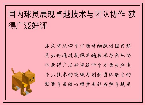 国内球员展现卓越技术与团队协作 获得广泛好评